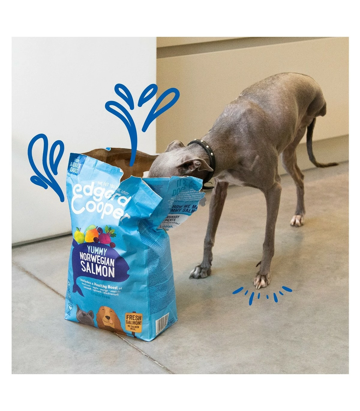 Edgard & Cooper Adult Carne Fresca Di Salmone Norvegese Senza Cereali 12 Kg - immagine 3