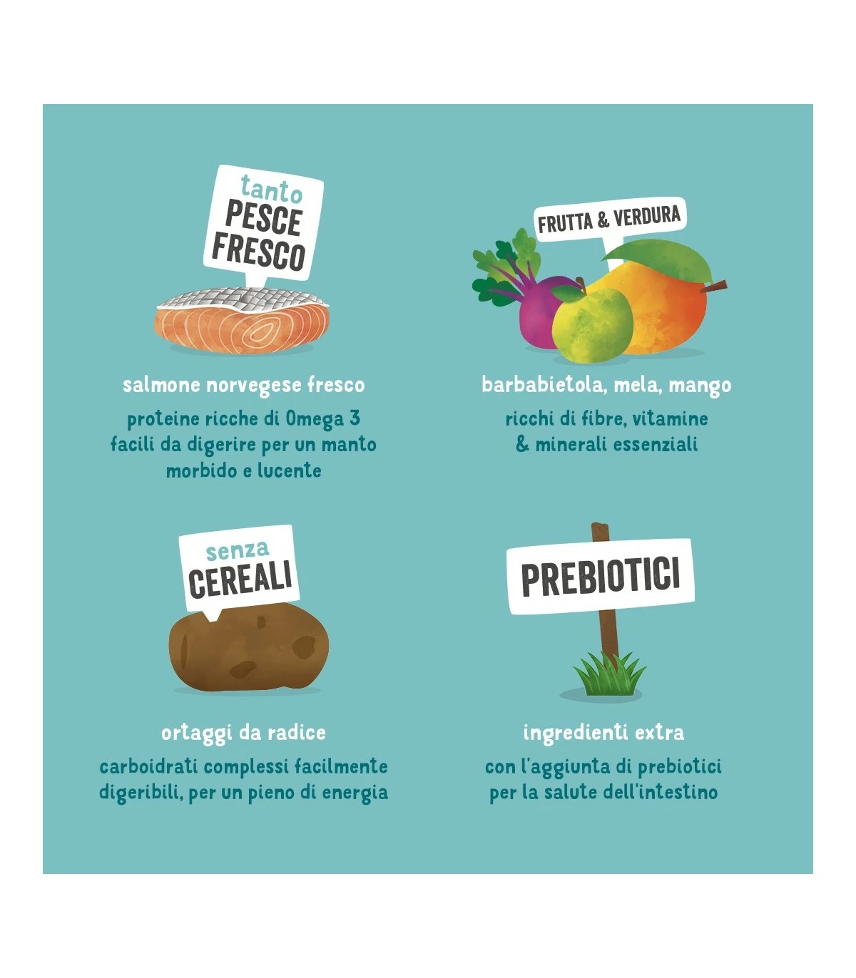 Edgard & Cooper Adult Carne Fresca Di Salmone Norvegese Senza Cereali 2,5 Kg - immagine 6