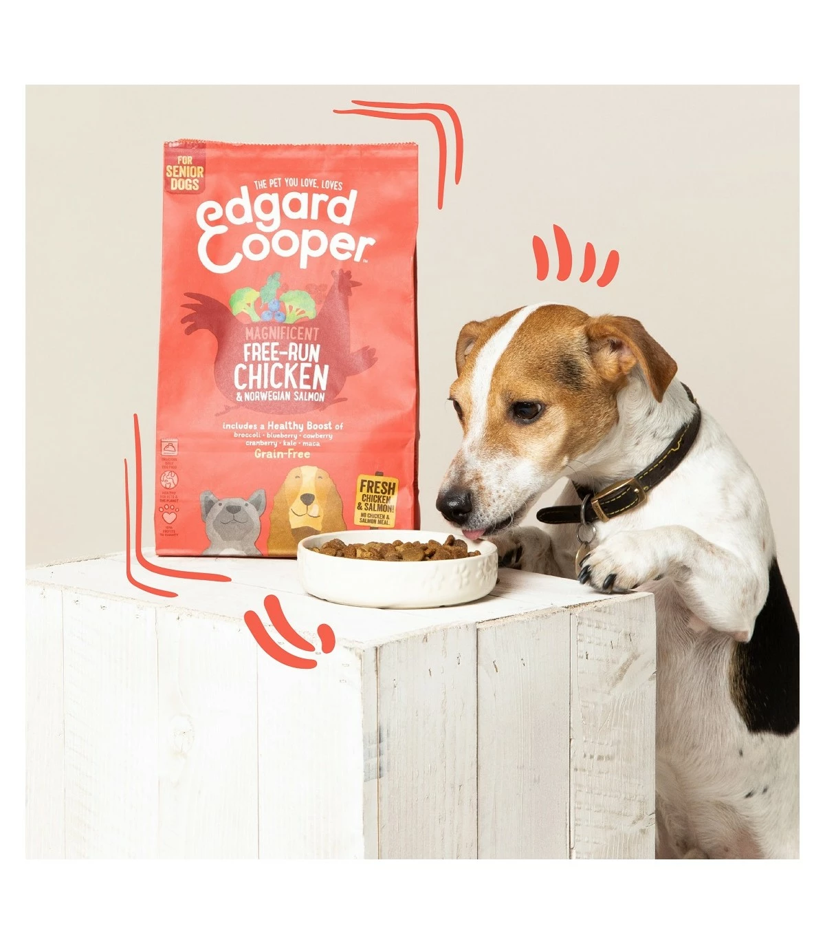 Edgard & Cooper Senior Carne Fresca Di Pollo Allevato A Terra E Salmone Norvegese Senza Cereali 7 Kg - immagine 3