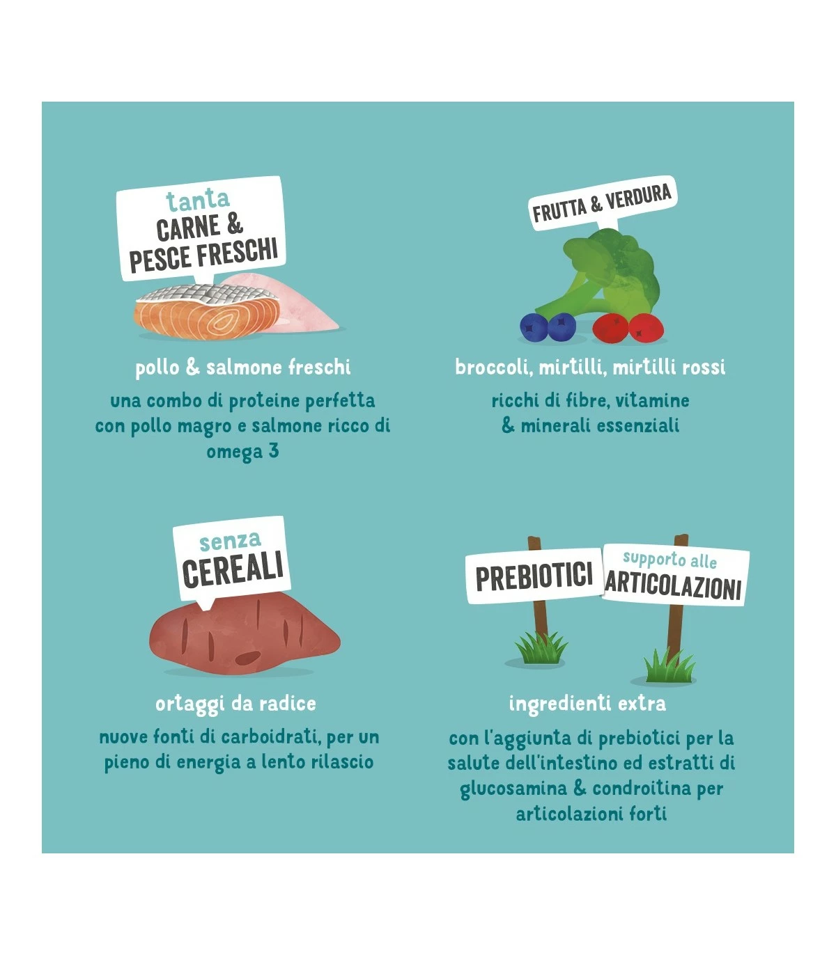 Edgard & Cooper Senior Carne Fresca Di Pollo Allevato A Terra E Salmone Norvegese Senza Cereali 7 Kg - immagine 5