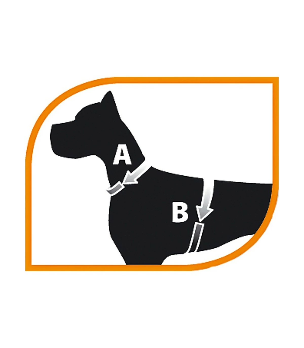 Ferplast Ergocomfort Nordic 3 Pettorina Con Maniglia - immagine 2