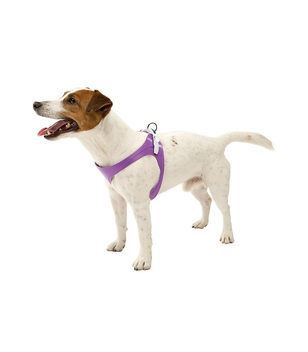 Ferplast Ergoflex Small Viola Pettorina - immagine 3