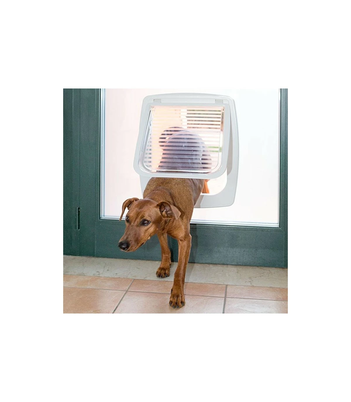 Ferplast Swing 11 Tunnel Bianca Portina - immagine 3