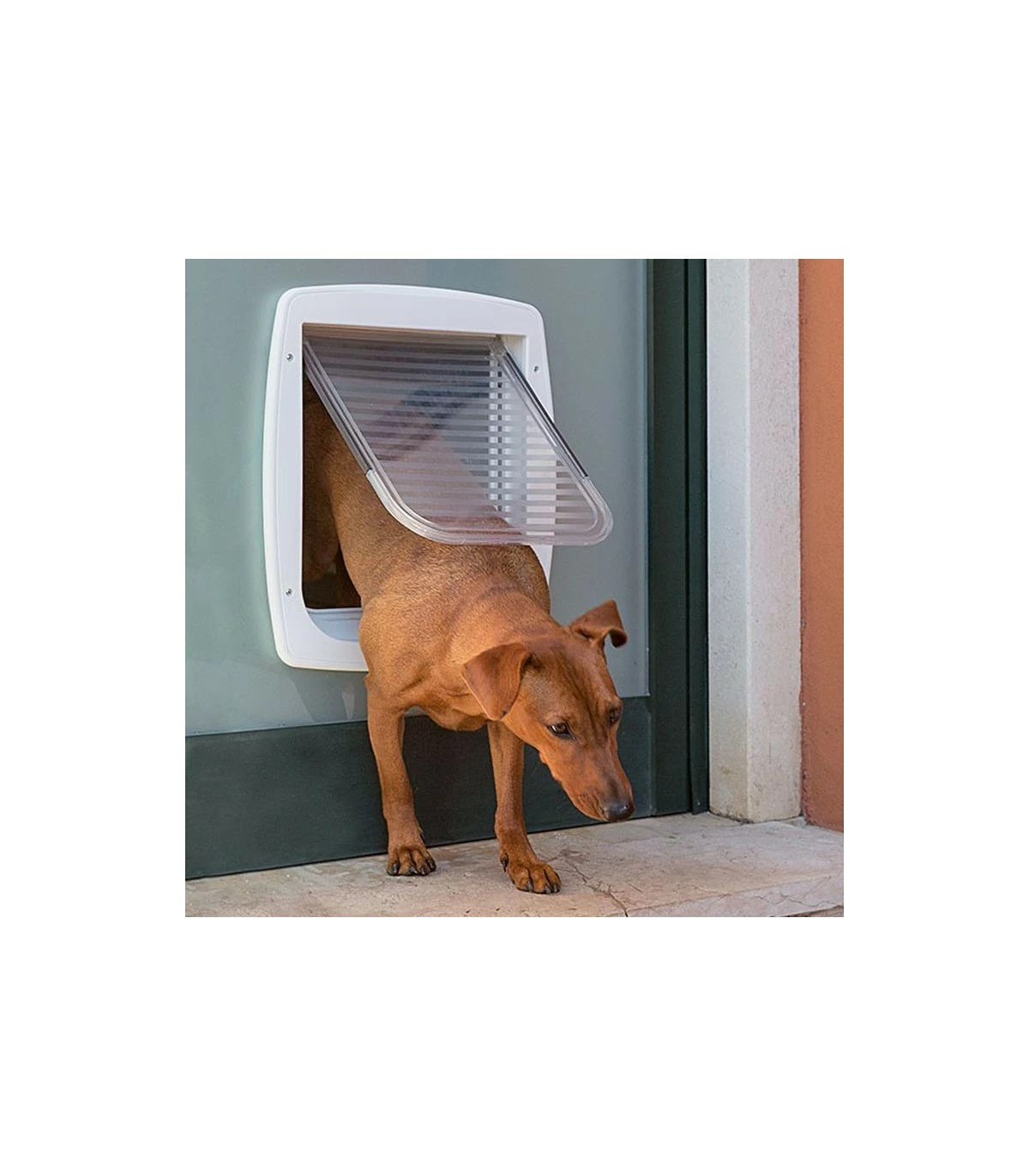 Ferplast Swing 11 Tunnel Bianca Portina - immagine 4